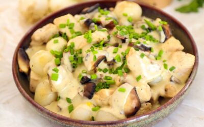Blanquette de poulet